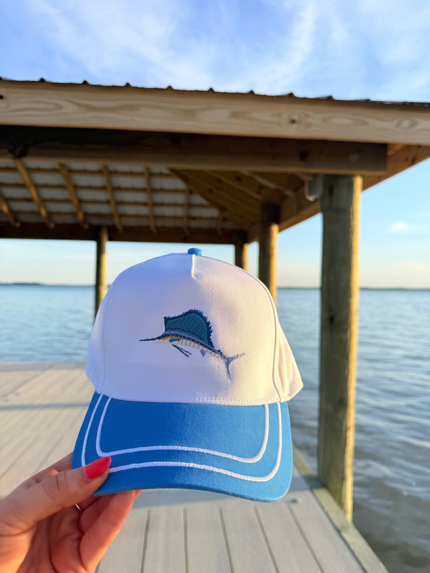 Sail Fish Blue Striped Bill